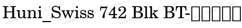Huni_Swiss 742 Blk BT字体转换
